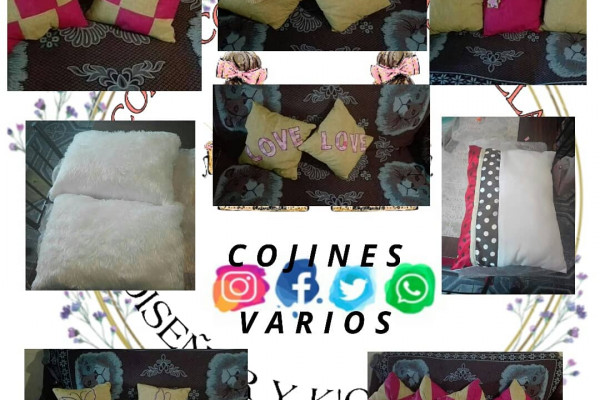 Cojines decorativos